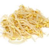 Ensalada Con Brotes De Soja