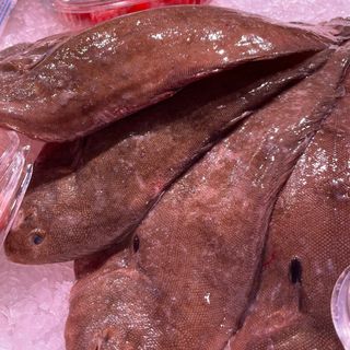 Lenguado (250-300gr)