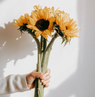 მზესუმზირა (5ტოტი)