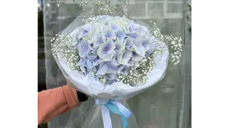 Blue Mist