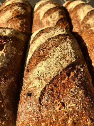 Protein Bread