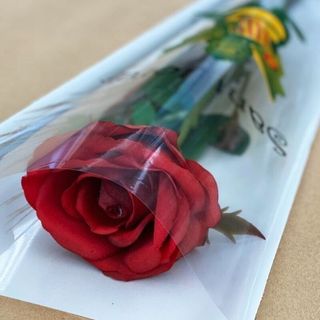 1 Rose 