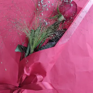Rosa rossa 