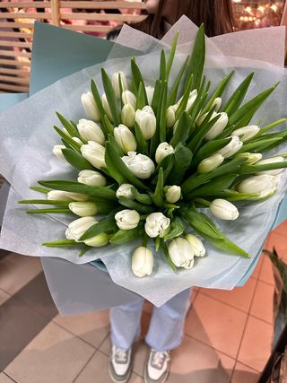 51 Lalele albe olandeze