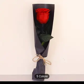 Rosa amore di mamma
