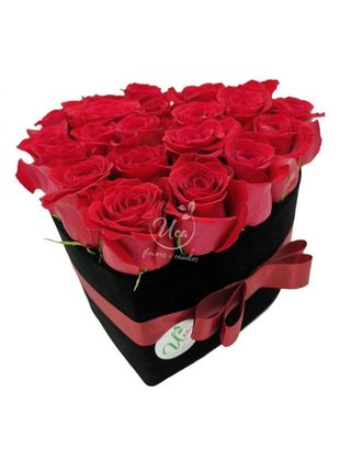 Cutie catifea cu 21 trandafiri