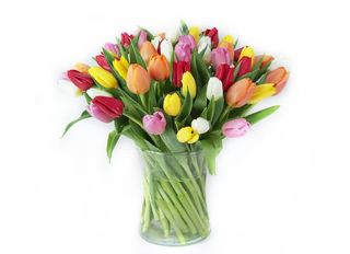 Микс лалета 35 (бр)