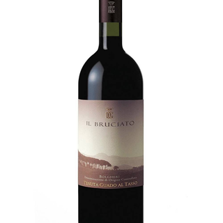 IL BRUCIATO 2023 75 cl