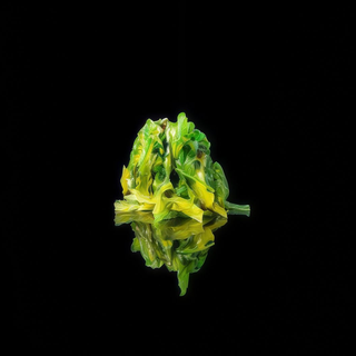 12. Goma wakame