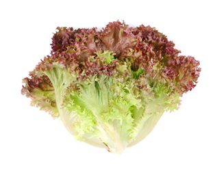 Salade Batavia Rouge - Unité 