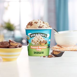 Ben&Jerry's Peanut Butter Cup 465 ml