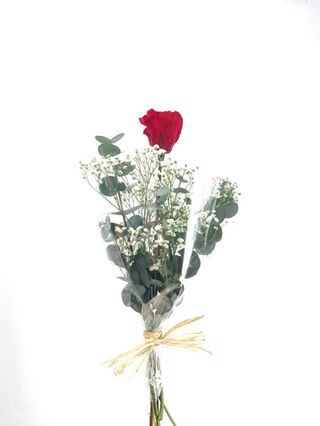 ROSA ROJA INVIDUAL PRESERVADA 