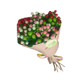 Hypericum mix