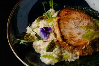 Peşte spadă, risotto cu dovlecel şi sos de parmezan