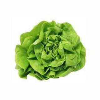 Lattuga 1 kg 