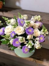 ასტრის კოლოფი თეთრი ვარდებით