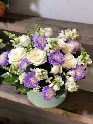 ასტრის კოლოფი თეთრი ვარდებით