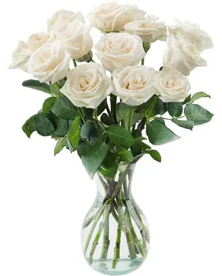 Docena Rosas Blancas