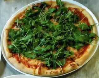Rucola