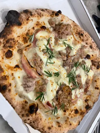Delicata