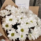 ქრიზანთემა 10 ტოტი