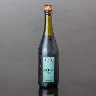 Lambrusco Monte delle Vigne