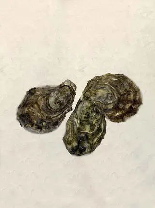 Ostra Francia Nº2 (1 Ud.)