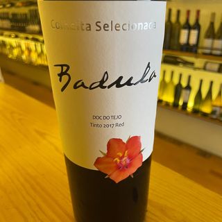Quinta Da Badula Colheita Selecionada Tinto 2017