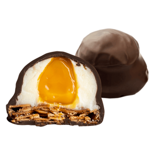 Florentine cu piure din portocală și înveliș cu ciocolată cu lapte