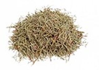 Alecrim Seco Embalagem 25g (UN)