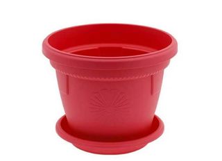 Саксия, червена, Ф25