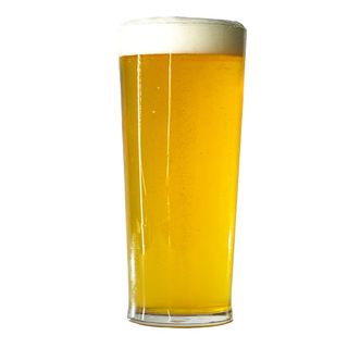 Пиво Бердичівське Лагер Світле 3.8%