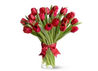 Червени Лалета 21 Бр