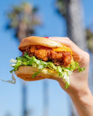 HCL Spicy  Buttermilk Fried Chicken Burger