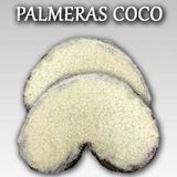 Palmera coco (1 ud)