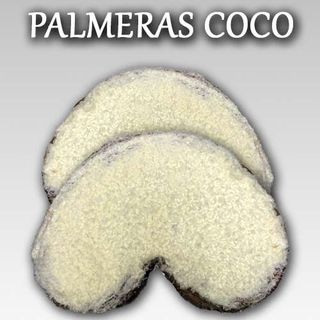 Palmera coco (1 ud)