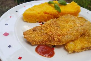 Crap prajit cu mujdei si mamaliguta