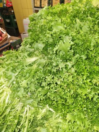 Insalata riccia al kg