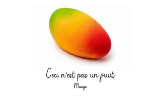 Mango - Frutta Realistica
