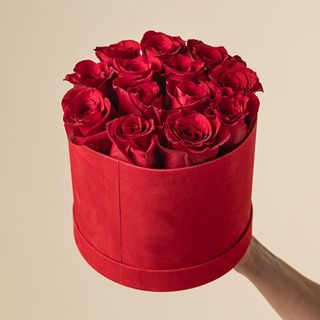 Caja de terciopelo roja con rosas rojas (12-15 aprx)
