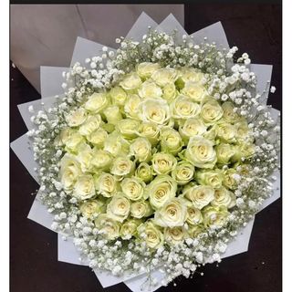 All white roses with gipso