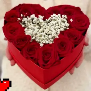 წითელი ვარდი და გიფსოფილა გულში