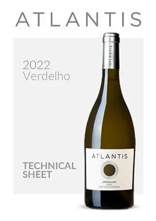 White Wine