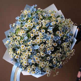 გვირილა კესანე