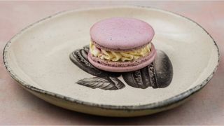 Makaron sladoled i crna ribizla