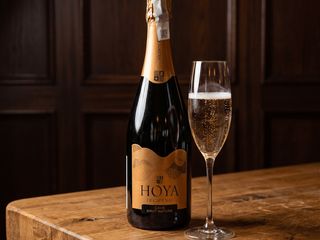 Вино ігристе Hoya de Cadenas Cava Brut Nature Іспанія, брют, біле 750мл (750ml)