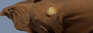 Gianduia