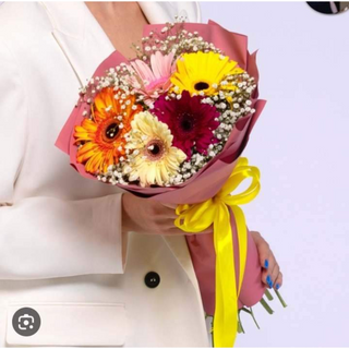 ფერადი გერბერები