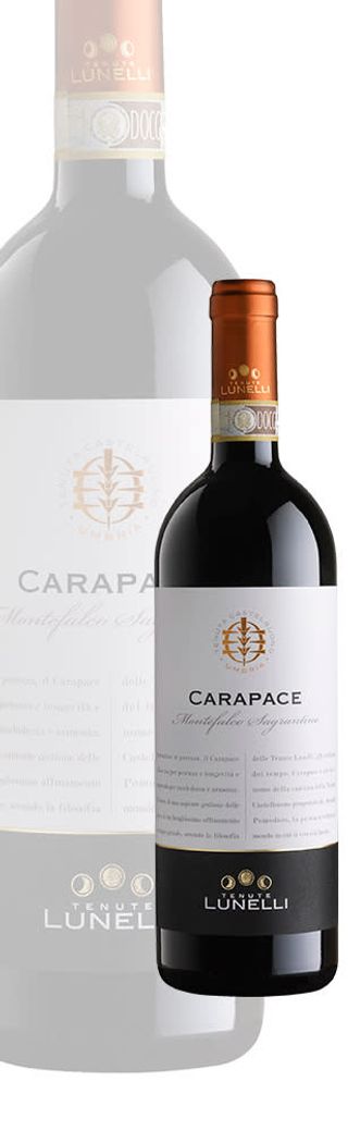 CARAPACE MONTEFALCO SAGRANTINO D.O.C.G 2019
