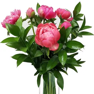 Ramo de 6 peonias. 